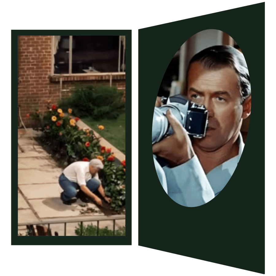 Rear Window: el lente con que observamos el mundo